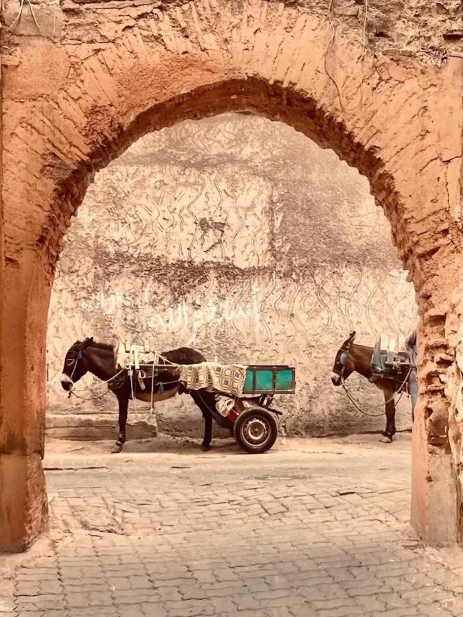 Riad Palmier (Adults Only) Marrakesh Luaran gambar